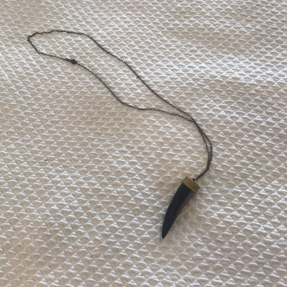 Antique horn necklace